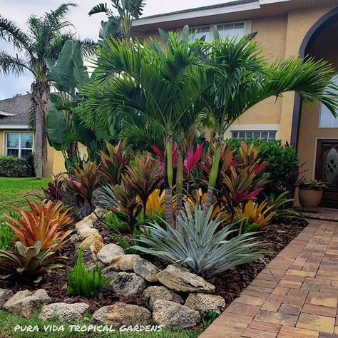 Florida Plants Landscaping, Tropical Backyard Landscaping, Palm Trees Landscaping, Tropical Landscape Design, Florida Landscaping, Florida Plants, Tropical Garden Design, Tropical Backyard, Small Front Yard Landscaping