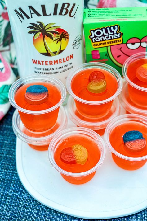 How To Make Jolly Rancher Watermelon Jello Shots Jello Shots Watermelon, Candy Jello Shots, Jolly Rancher Jello Shots, Malibu Jello Shots, Alcohol Jello Shots, Watermelon Shots, Jolly Rancher Drink, Jolly Rancher Jello, Hello Shots