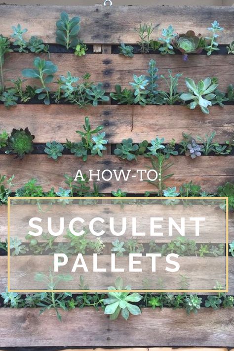 DIY EASY Wall Hanging Art - Wall Decoration Ideas - Home Decor Succulent Wall Diy, Palette Planter, Pallet Garden Walls, Succulent Wall Hanging, Succulent Outdoor, Succulent Wall Garden, I Love Plants, Succulent Wall Planter, Vertical Succulent Gardens