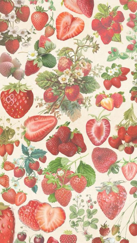 Strawberries Background, Colorful Owl, Background Aesthetic, Women Boots, Handcrafted Leather, Boots Shoes, Aesthetic Wallpaper, Strawberries, Fashion Women