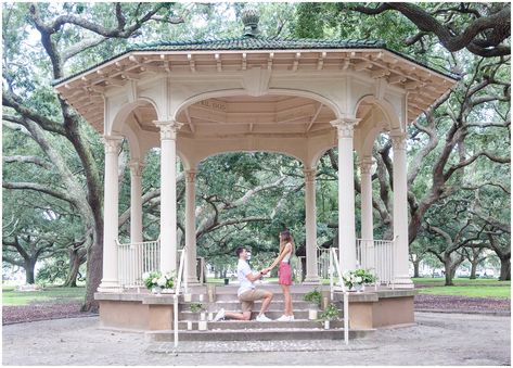 12 Best Charleston Proposal Location Ideas - jenkeys.com Proposal Spots, Charleston Beaches, List Of Cities, Middleton Place, Best Proposals, Beach Proposal, Live Oak Trees, Flower Installation, Perfect Proposal