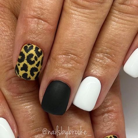 Brooke Jensen on Instagram: "We always love some matte cheetah print for fall!!🙌🏼🐆🖤 . . . . Inspo: @rockin.a.nails #gelpolish #handpaintednailart #naturalnailsonly #utahnailtech #utahnailartist #nailartist #nailart #naildesigns #nailartdesigns #freehandart #freehandnailart #gelnails #nails #nailmagazine #nailinspo #septembernails #fallnails #fallnailart #cheetahnails #fallcheetahnails #mattenails #blackmattenails #mattecheetahnails #fallmattenails #blackcheetahnails #blackandwhitenails #nail Black Nails With Cheetah Print, Cheetah Nails Black, Matte Black Nails With Animal Print, Black Matte Cheetah Nails, Black Nail Designs Cheetah, Matte Black Nails, September Nails, Cheetah Nails, Painted Nail Art