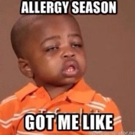 Allergy season Allergies Funny, Sick Humor, Struggle Is Real, Feeling Sick, Best Memes, Bones Funny, Funny Kids, Mood Pics, Funny Images