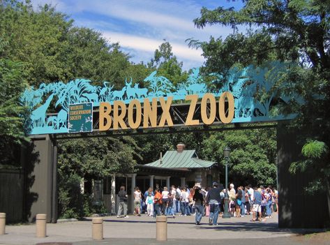 Visit the Bronx Zoo in New York - the world's largest urban zoo and get up close to more than 600 species from around the globe! Gros Morne, Zoo Photos, The Bronx New York, Voyage New York, Bronx Zoo, Battery Park, Virtual Walk, Virtual Field Trips, The Cloisters