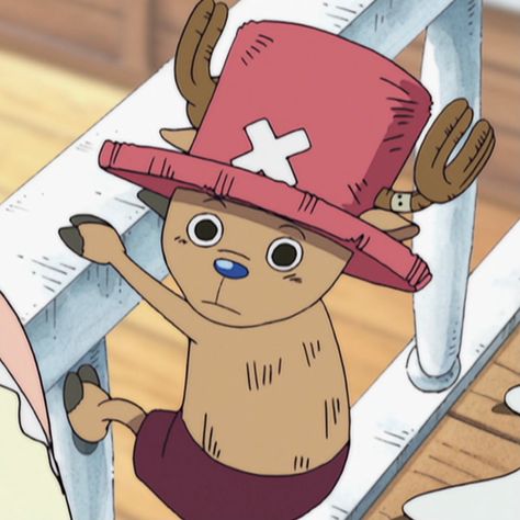 Tony Tony Chopper Pre Timeskip, Chopper Pre Timeskip, Chopper Cosplay, One Piece Chopper, Film Journal, Tony Chopper, Iphone Wallpaper Kawaii, Time Skip, Some Pictures