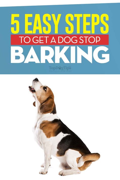 Dog Training Barking, Puppy Barking, Stop Dog Barking, Dog Behavior Problems, Dog Training Treats, House Training Dogs, Dog Training Advice, Dog Brain, Dog Training Videos