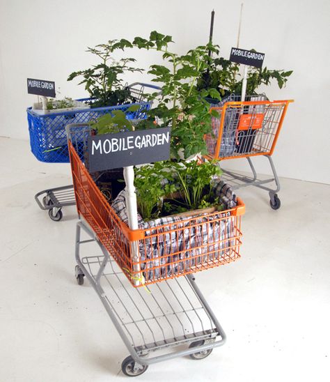 Mobile Gardening, Mobile Garden, Tactical Urbanism, Guerrilla Gardening, Portable Garden, Shopping Carts, Diy Mobile, Diy Outdoor Decor, Food Garden