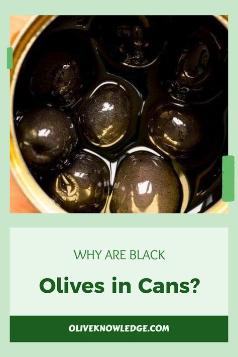 Curious why black olives come in cans while green ones usually don't? It’s all about preserving their vibrant flavor and extending shelf life. Learn about the canning process, which helps keep these tasty snacks fresh for longer. Discover the benefits of canned black olives versus jars and why most brands choose metallic cans for packaging. Packed with nutrients, these olives can add flavor to salads, pizzas, and tapenade without losing their rich taste. The next time you're shopping, you’ll know just what to look for. Canning Process, Green Olives, Black Olive, Nutritious Snacks, Tapenade, Natural Energy, Fresh Green, Canned Food, Yummy Snacks