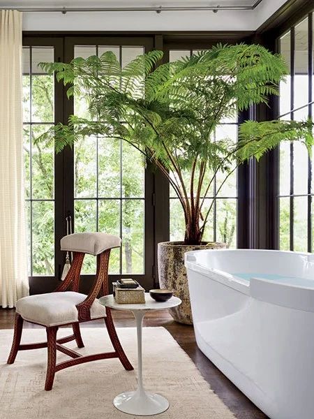 Big Indoor Plants, Tall Indoor Plants, Interior Design Plants, Large Indoor Plants, Indoor Tree, Indoor Trees, Hanging Plants Indoor, Bathroom Plants, Interior Plants