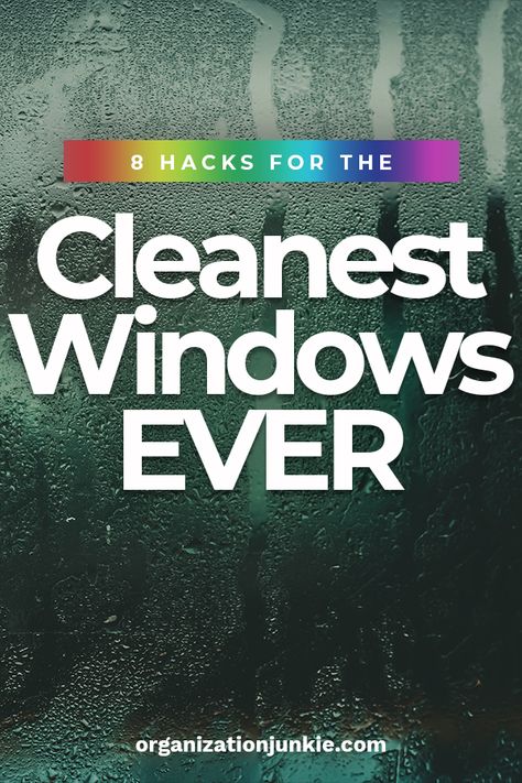 Window Cleaning Tips, Sponge Paint Brush, Clean Window, Clean Windows, Cleaning Windows, Cleaning Caddy, Cleaning Games, Diy Cleaning Hacks, Pet Stains