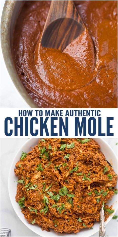 Instant Pot Chicken Mole Recipe, Mole Chicken Tacos, Mole Tacos Chicken, Mole Pepper Recipes, Pollo Mole Recipe, Healthy Mole Recipe, Mole Paste Recipe, Chicken Mole Casserole, Mole Dinner Ideas