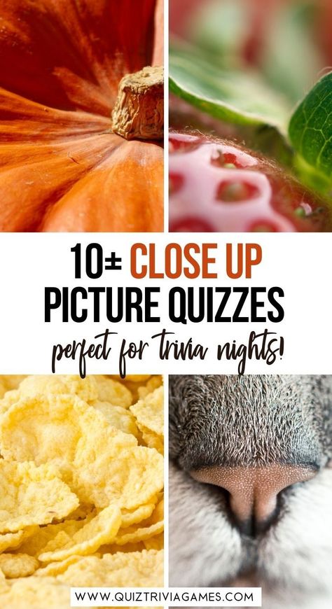 Picture Quiz Questions And Answers Free, Christmas Picture Quiz, Picture Trivia, Famous Historical Quotes, Trivia Questions For Adults, Black Forest Cherry Cake, Object Pictures, General Knowledge Quiz Questions, Animal Close Up