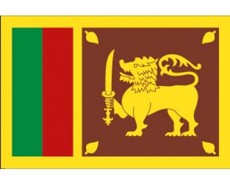 Sri Lanka Flag Sri Lankan Flag, History Of Sri Lanka, Sri Lanka Flag, Toefl Ibt, Python Coding, International Flags, World Flags, Arabian Sea, Cricket Teams