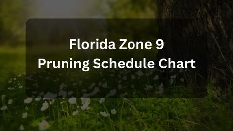 Florida Zone 9 Pruning Schedule Chart Zone 9 Gardening, Fast Growing Shade Trees, Cypress Vine, Fast Growing Hedge, Porch Plants, Crepe Myrtle, Zone 9, Plant Tree, Fall Garden