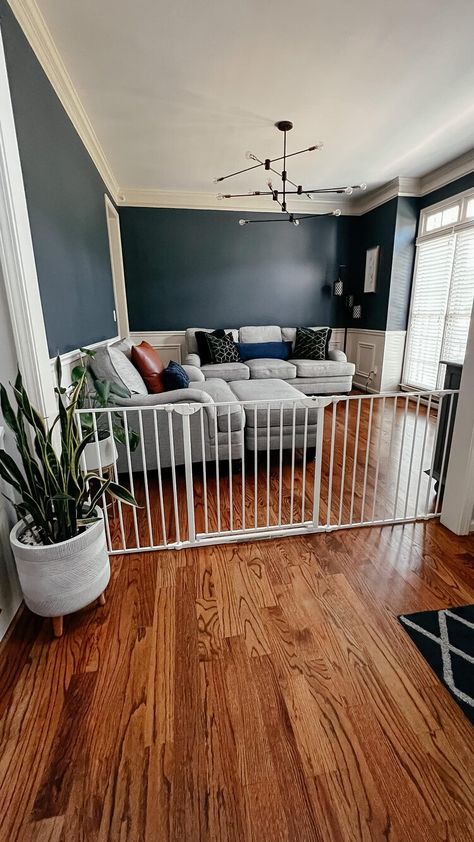 Dog Proof Living Room, Baby Friendly Living Room, Baby Gate Play Area, Baby Proofing Ideas, Nursery Guest Room, Basement Doors, Baby Proof, Long Living Room, 1930s House