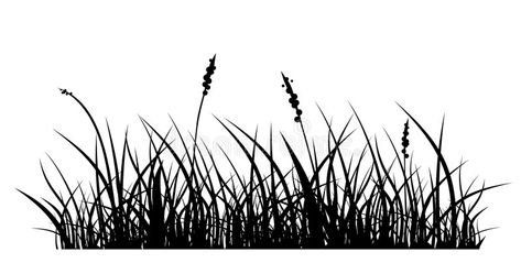 Grass Tattoo Design, Wheat Illustration, Plants Silhouette, Grass Tattoo, Vector Grass, Grass Graphic, Haldi Photoshoot, Grass Silhouette, Grass Drawing