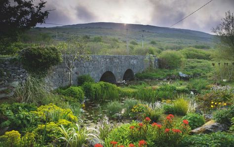 Required Reading: The Irish Garden - Gardenista Irish Plants, Garden Pools, Garden Books, Marsh Marigold, Irish Garden, County Wicklow, County Clare, Formal Garden, Over The River