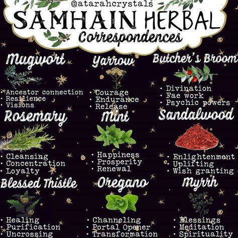 Crowned on Instagram: “Here are 9 Herbs that correspond with samhain ✨💚 with their amazing benefits. . The question I have for all of you is this: do you use any…” Herbs For Samhain, Samhain Herbs, Wiccan Samhain, Mugwort Benefits, Witchy Practices, Celebrating Samhain, Samhain Crafts, Samhain Aesthetic, Witchy Notes