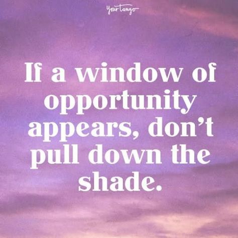 Window Of Opportunity Quotes, Better Opportunity Quotes Work, Take The Opportunity Quotes, Seize The Moment Quotes, Window Quotes Life, Quotes About Windows, Quotes About Opportunity, New Opportunity Quotes, Opportunities Quotes