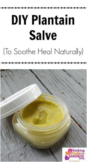 Make Plantain Salve At Home (To Soothe & Heal Naturally) Plantain Salve, Preserves Recipes, Crunchy Stuff, Crunchy Mom, Salve Recipes, Crunchy Moms, Herbal Salves, Mountain Rose Herbs, Diy Remedies