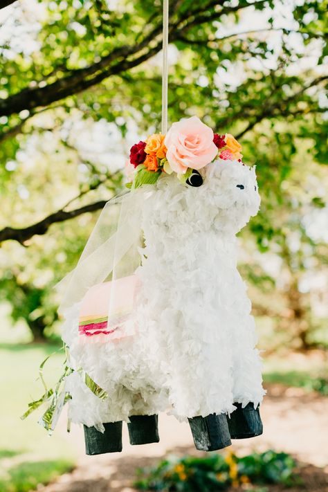 Bridal Shower Ideas Fiesta, Bridal Shower Themes Fiesta, Bridal Shower Ideas Backyard, Fiesta Bridal Shower Ideas Decoration, Fiesta Shower Decorations, Bridal Shower Backyard Ideas, Mexican Fiesta Bridal Shower Ideas, Fiesta Theme Bridal Shower Decor, Last Fiesta Bridal Party