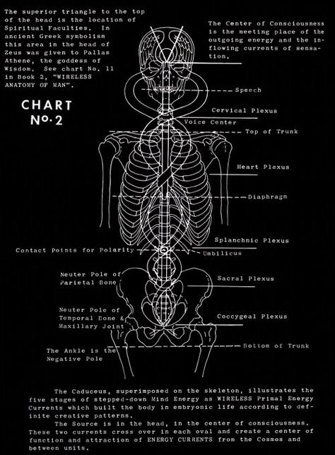 Polarity therapy works with the electromagnetic field to enhance the energy flow and  balance the chakra system. According to Dr. Stone, we are fields of pulsating life energy made up of 5 elements (Ether, Air, Fire, Water, Earth) and 3 gunas (Sattva, Rajas, Tamas concepts from Ayurveda tradition). Each element has its own vibration and frequency and is in constant motion, exchanging energy between the positive, neutral, and negative poles in the body. Air Fire Water Earth, Body Energy Flow, Polarity Therapy, Chakra Health, Water Therapy, Sacred Science, Medical Student Study, Japanese Water, Body Map