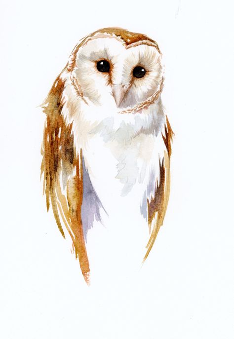 Barn Owl Art, Watercolor Paintings Of Animals, Owl Watercolor, Owl Artwork, Baby Animal Drawings, Animal Illustration Art, Black And White Art Drawing, Watercolor Paintings For Beginners, Owls Drawing