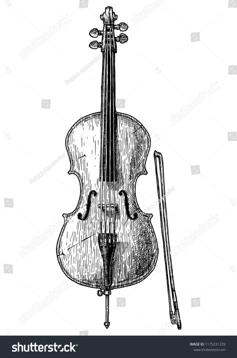 Cello Illustration, Cello Drawing, Guitar Clipart, View Illustration, Cellos, Papercraft Templates, Hand Drawn Illustration, Detailed Drawings, Drawn Illustration