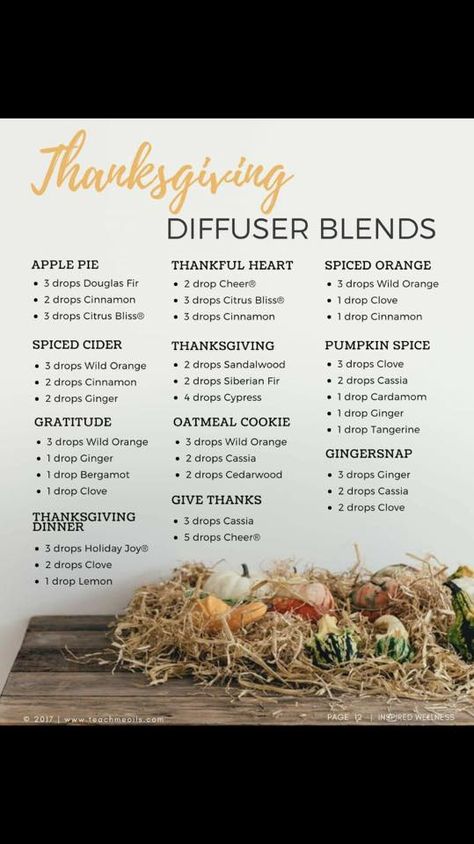 Thanksgiving diffuser blends Thanksgiving Diffuser Blends, Diy Essential Oil Diffuser, Fall Essential Oils, Fall Diffuser Blends, Doterra Recipes, Essential Oil Diffuser Blends Recipes, Essential Oil Diffuser Recipes, Oil Diffuser Recipes, Essential Oil Blends Recipes