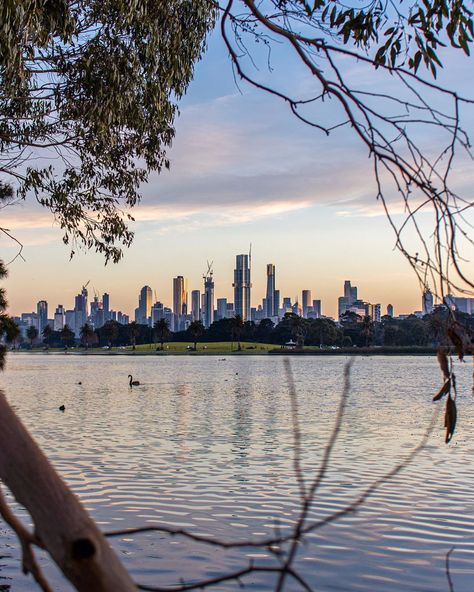 Melbourne Australia City, Albert Park Melbourne, Albert Park, Beautiful Landscape Photography, Summer Goals, Melbourne Victoria, City Wallpaper, City Views, Victoria Australia