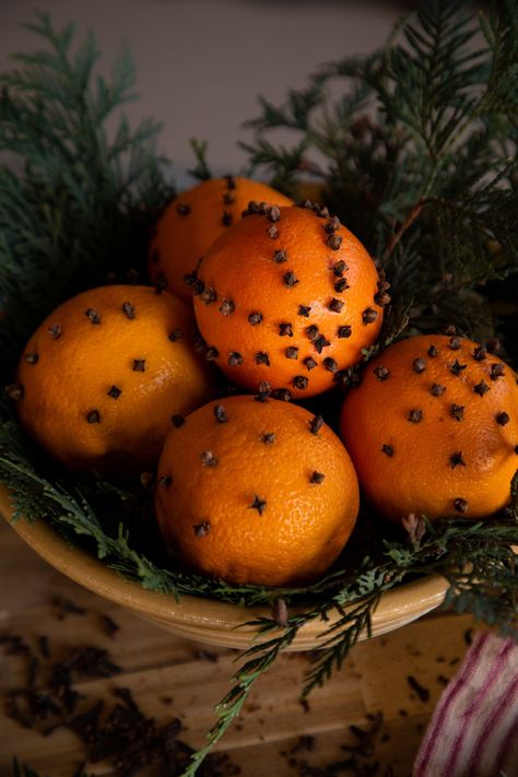 How to Dry Orange Slices & Make Pomanders — Under A Tin Roof Drying Whole Oranges For Christmas, How To Dry Pomegranates For Decoration, Dried Mandarin Orange Slices, How To Dry Orange Slices, Pomander Orange, Dry Orange Slices, Orange Christmas Decor, Dried Cloves, Orange Pomanders