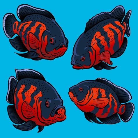 Set of tiger oscar fish for gamefish col... | Premium Vector Pleco Fish Drawing, Oscar Fish Tattoo, Tiger Oscar Fish, Fish Beautiful, Tiger Fish, Fish Sketch, Oscar Fish, Fish Skeleton, Art Fish