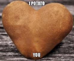 Potato Meme, Happy Potato, Tiny Potato, Memes Cute, Clean Eating Vegan, Grilled Potatoes, A Potato, Bad Guys, Wattpad Fanfiction