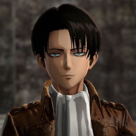 Levi Icon, Attack On Titan Game, Levi Ackerman, Attack On Titan, Video Game