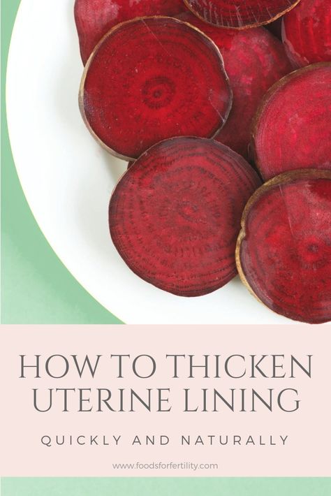 How to Thicken Uterine Lining Quickly and Naturally Thicken Uterine Lining, Foods For Fertility, Ivf Diet, Frozen Embryo Transfer, Daily Protein Intake, Fertility Foods, Fertility Health, Organic Meat, Embryo Transfer