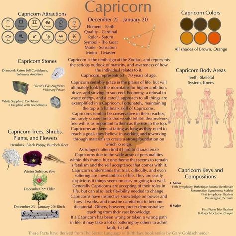 Capricorn Magic, Witchy Astrology, Witch Astrology, Saturn Symbol, Astrology 101, Capricorn Sun, Capricorn Aesthetic, Signs Horoscope, Aries And Gemini