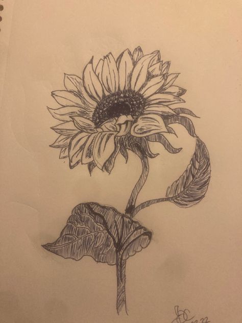 Sunflower Sketch Pencil, Sunflower Drawing Pencil, Drawing Of A Sunflower, Sunflower Sketch, Sunflower Sketches, Gcse Art Sketchbook, Gcse Art, Pen Drawing, Dreamcatcher Tattoo