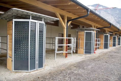 Horse Feeding, Hay Racks, Stable Ideas, Four Horses, Run In Shed, Horse Facility, Horse Stable, Horse Property, Horse Stalls