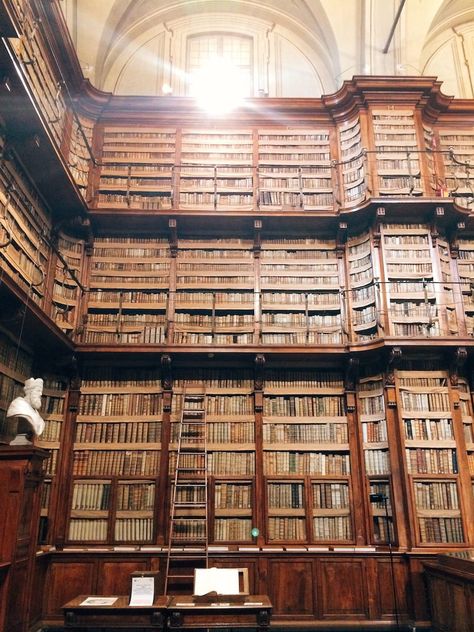 Left wall of the "vaso" at the Biblioteca Angelica, Rome Library In Italy, Europe Library, Mediterranean Library, Alexandria Library Architecture, Alexandria Library, Vatican Library, Beautiful Libraries, Book Shops, Beautiful Library