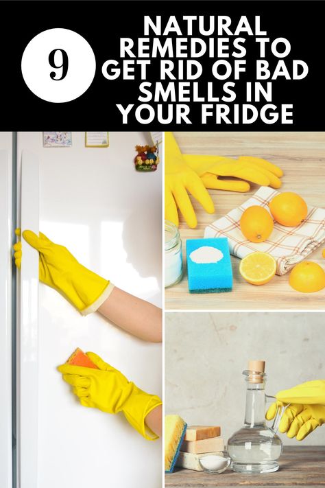 How To Get Rid Of Smell In Fridge, How To Clean Your Fridge, Fridge Smell Tips, How To Clean Fridge, Smelly Refrigerator, Fridge Odor Eliminator, Smelly Fridge, Fridge Cleaning Hacks, Fridge Cleaning