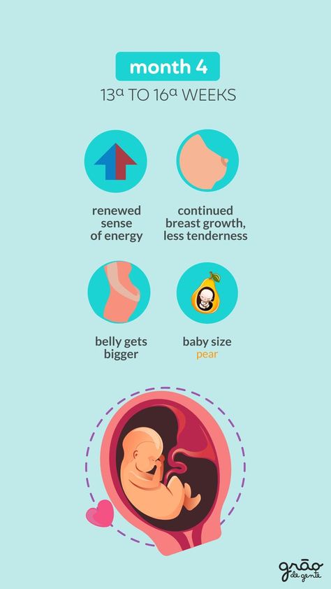 Your baby is five to six inches long and weighs up to four ounces. The Baby’s face and heart are fully formed at this point, though the lungs are still developing. The Baby’s eyes will open during this month and he or she will begin feeling the urge to suck. 👣 #dadlife #momlife #alreadysoinlove #pregnancy #graodegenteusa #BabyBump #13weeksbabybump #pregnantlife #pregnant #growingbaby #13weekspregnancy #13weekspregnant #fourthmonth #fourthmonthpregnancy #secondtrimester #16weeksbabybump 13 Weeks Pregnant, Five Months Pregnant, Second Trimester, He Or She, Baby Development, Dad Life, Lungs, Baby Bumps, Baby Size