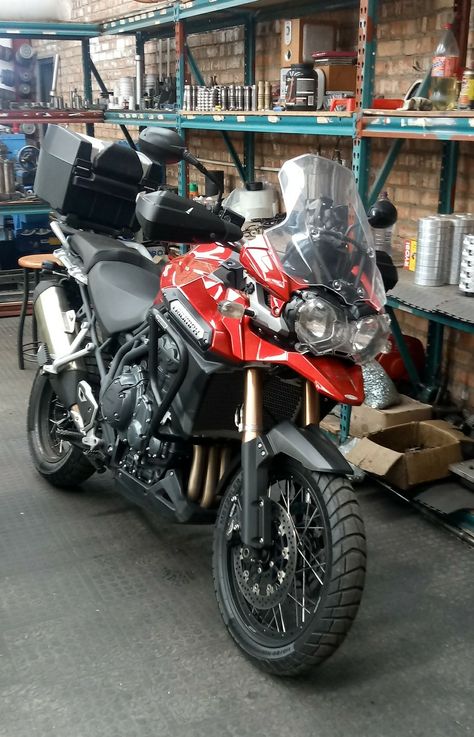 2015 Tiger 1200 waiting in Workshop to go home!!! Trail Motorcycle, Tiger 1200, Tiger 800, Triumph Tiger 800, Yamaha Fz, Triumph Tiger, Adventure Motorcycling, Touring Bike, Triumph Motorcycles