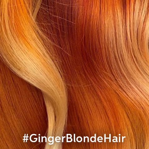 Ginger Blonde Hair Colour Formulas | Wella Professionals Ginger Hair Color Wella, Orange Hair Formula, Ginger Hair Wella Formula, Blonde Color Formulas, Wella Copper Formula, Blonde Hair Color Formulas, Copper Orange Hair, Amber Hair Colors, Ginger Blonde Hair