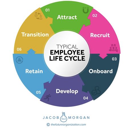 Employee Life Cycle, Work Poster, Employee Experience, Customer Journey Mapping, Customer Journey, Journey Mapping, Performance Reviews, Business Skills, English Worksheets