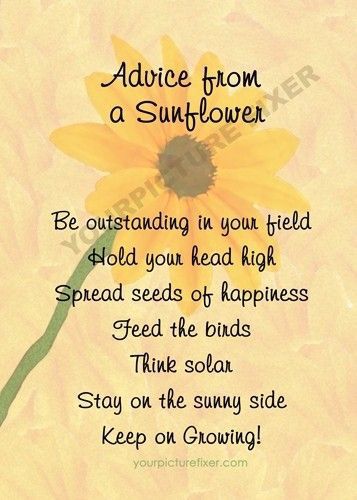 Advice from a sunflower   Be outstanding in your field  Hold your head high  Spread seeds of happiness  Feed the birds  Think solar  Stay on the sunny side  Keep on growing ! Sunflower Farm, Sunflower Quotes, Quotes By Authors, E Mc2, Flower Quotes, E Card, Good Advice, Famous Quotes, The Words