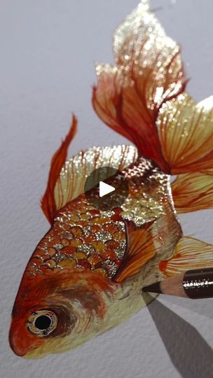 Hands down, this is probably the most mesmerising fish process video I have ever watched. That gentle glitter fully brings this beautiful creature to life! 
The watercolours used by @lisilinka are: “Crystal Gold” from her @lisilinka.watercolors Metallic Prism Set and “Champagne” from the @lisilinka.watercolors “Merry & Bright” set.

#beautifulbizarre #lisilinka #watercolor #watercolorpainting #watercolorartist #watercolorartwork #goldfish #glitterpaint #sparkle #holographic  #metallics #metallicwatercolors #loveglitter #glitterart | Beautiful Bizarre Magazine | Beautiful Bizarre Magazine · Original audio Lisilinka Watercolor, Lisilinka Watercolors, How To Draw Gold Fish, Goldfish Artwork, Goldfish Art Painting, Glitter Pens Art, Goldfish Watercolor, Gold Fish Watercolor, Glitter Watercolor