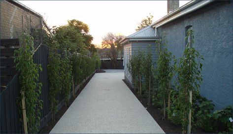 driveway idea - concrete with narrow garden bed Narrow Driveway Landscaping, Narrow Driveway Ideas, Extra Parking Space Driveway, Landscaping Long Driveway, Long Driveway House, Landscape Long Driveway, Narrow Garden Bed, Narrow Driveway, Exposed Concrete Driveway