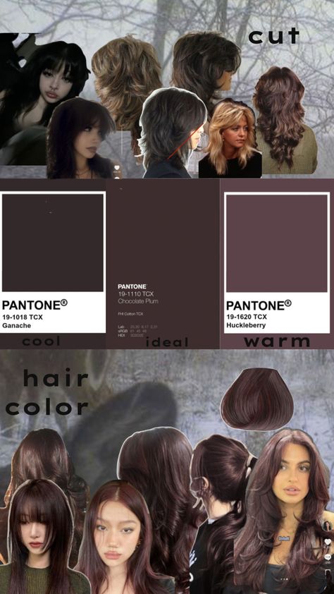 vaguely plum brown hair chocolate plum brown merlot faded desaturated brown Plum Brown Hair Color, Brown Hair Chocolate, Plum Brown Hair, Warm Hair Color, Brown Hair Color, Hair Color Chart, Hair Inspo Color, Brown Hair Colors, Merlot