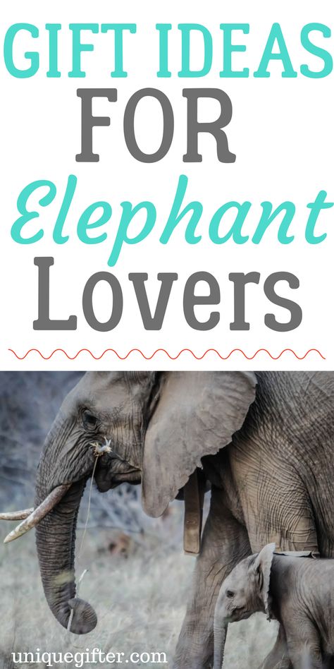 elephant gifts | elephant gifts for her | elephant gifts DIY | elephant gifts for friends | elephant gifts baby | cool white elephant gifts | white elephant gifts online | elephant gifts for Father's Day | gifts for elephant lovers | Christmas elephant gifts | elephant presents | elephant birthday gift | elephant clothing | elephant jewelry |books about elephants Best Friend Diy, Elephant Gifts For Her, Birthday Present Diy, Birthday Present For Husband, Gifts For Best Friend, Elephant Birthday, Friends Diy, Elephant Lover, Super Gifts