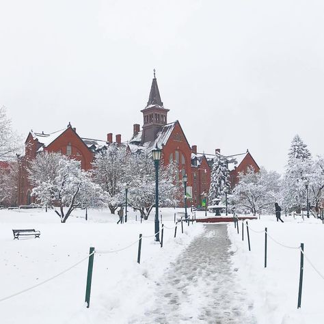 University Of Vermont Aesthetic, Vermont University, University Of Vermont, Summer Book, College List, Spring Semester, Joe Cool, Dream School, Summer Books